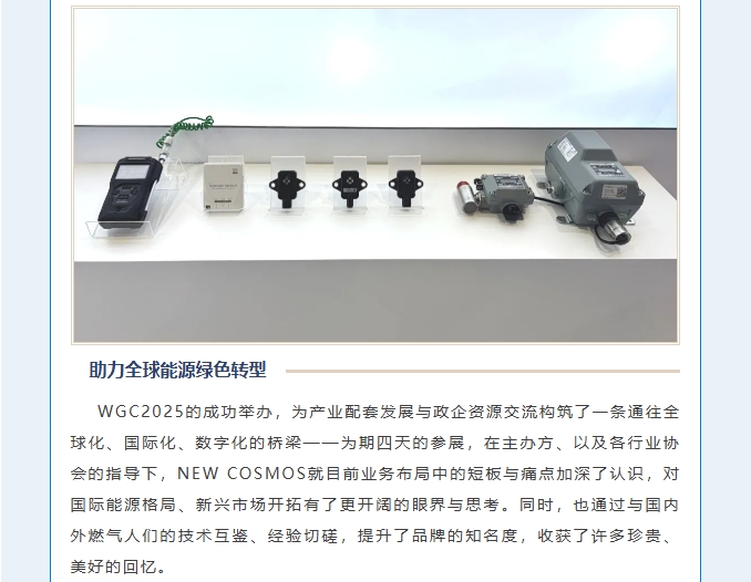 賦能可持續(xù)未來(lái)！熱烈慶賀新宇宙集團(tuán)WGC2025參會(huì)圓滿成功！(圖8)